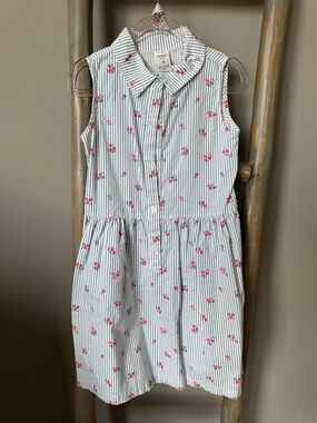 2️⃣for $10 Carter's Blue Stripe Sleeveless Dress with Pink Floral Print
